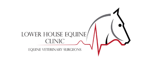 Lower House Equine Clinic
